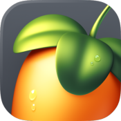 FL Studio Signature Bundle Education
